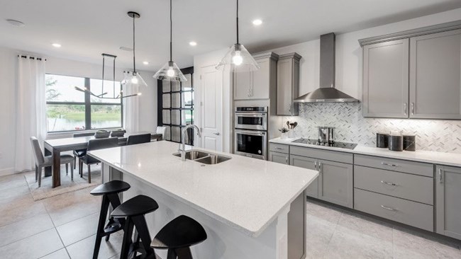 New Homes in Avalon Park at Ave Maria by Pulte Homes