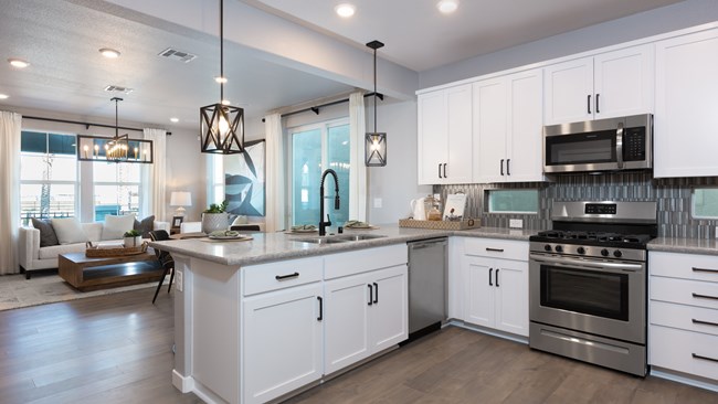 New Homes in Riverchase by Anthem United