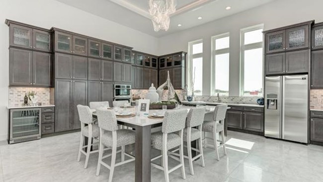 New Homes in Aqua by Medallion Home
