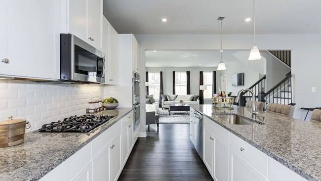 New Homes in Streamside by Ryan Homes