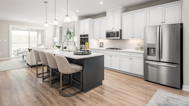 New Homes in Centerpointe Townes by Ryan Homes