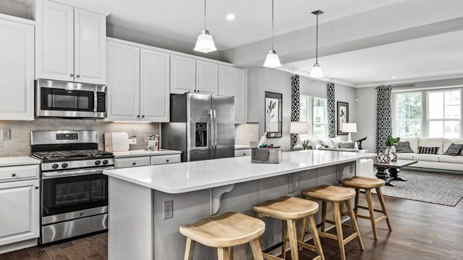New Homes in Park Place Townhomes by Ryan Homes