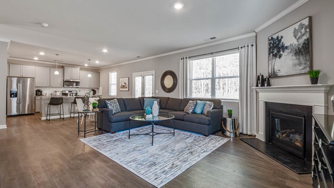 New Homes in Etowah Preserve by D.R. Horton