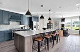 New Homes in Del Webb Wildlight
