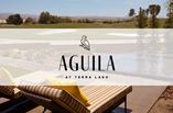 New Homes in Aguila at Terra Lago