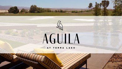New Homes in Aguila at Terra Lago