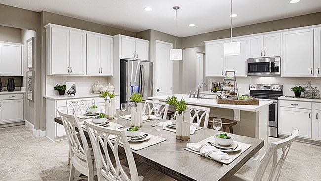 New Homes in Entrada Del Pueblo by Richmond American