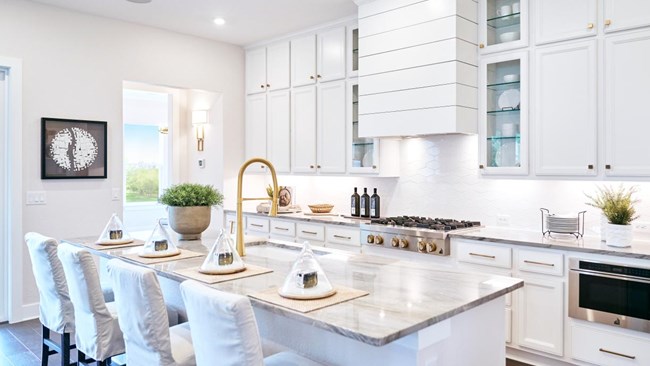 New Homes in Regency at Esperanza - Sardana Collection by Toll Brothers
