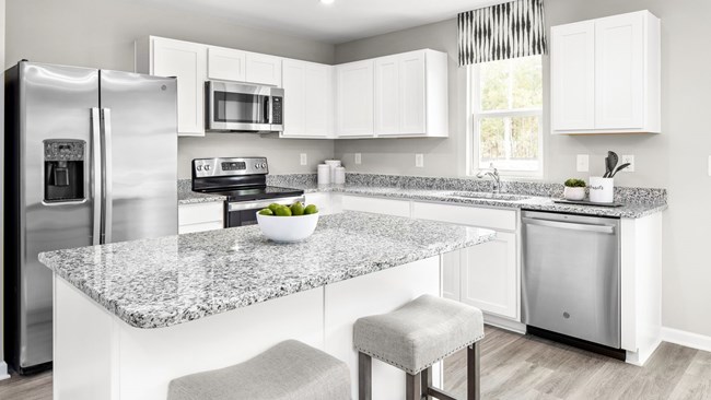 New Homes in Arden Woods Townhomes by Ryan Homes