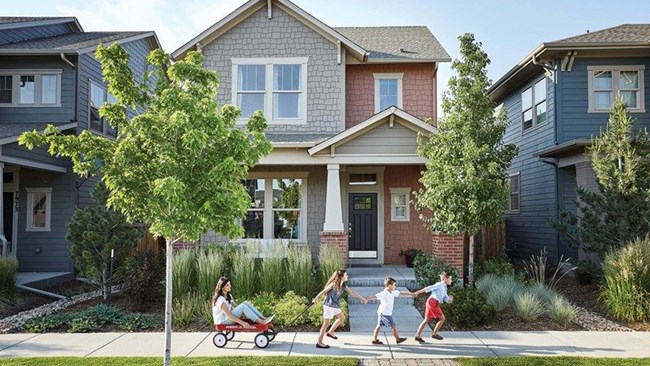 New Homes in Adelton by David Weekley Homes