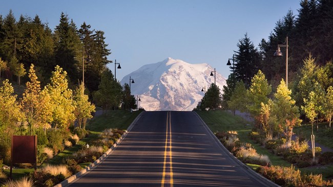 New Homes in Verterra-a Trilogy Boutique Community by Trilogy by Shea Homes