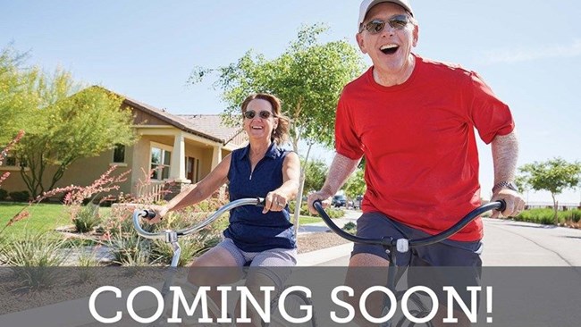 New Homes in Encore at Streamside - Tradition Series by David Weekley Homes