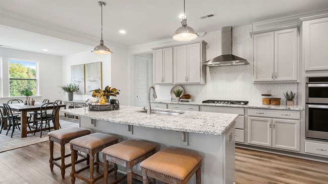 New Homes in High Grove Oaks by Mattamy Homes