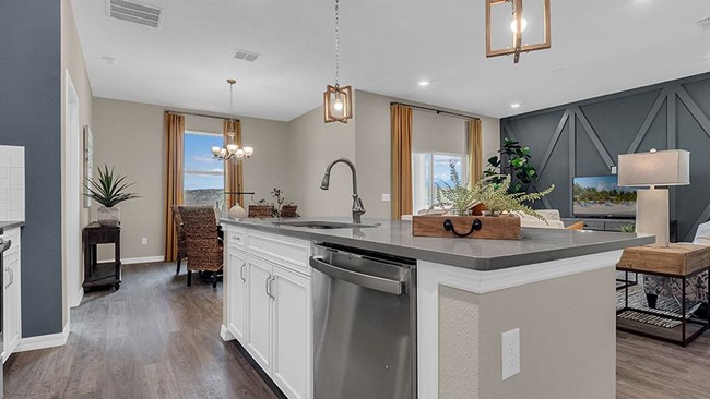 New Homes in Avalon Park Tavares Single Family Homes by Stanley Martin Homes
