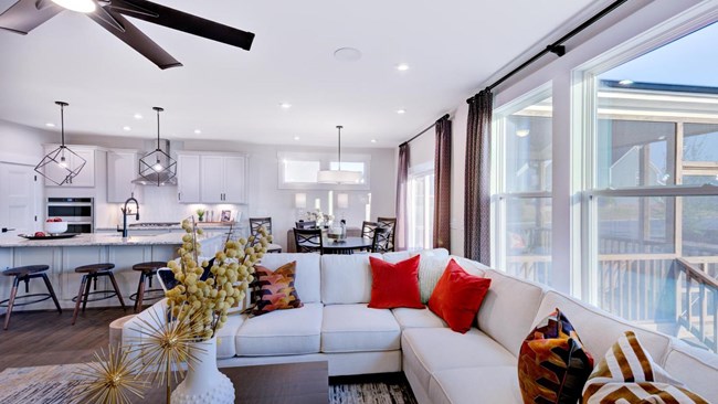 New Homes in Meadow at Jones Dairy by Drees Homes
