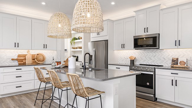 New Homes in Bloomingdale Townes by Mattamy Homes