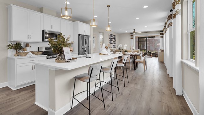 New Homes in Irongate by Richmond American