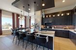 New Homes in Arcadia