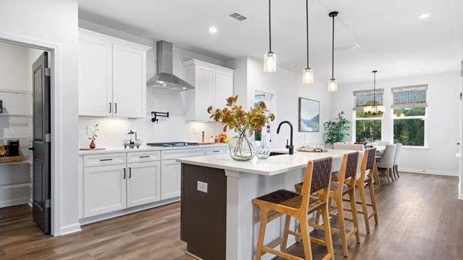 New Homes in Kelly Preserve by Davidson Homes