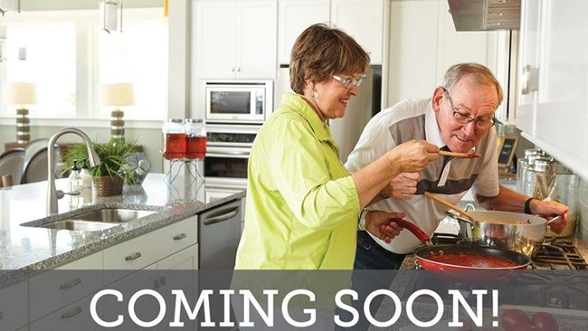 New Homes in Encore at Harmony by David Weekley Homes