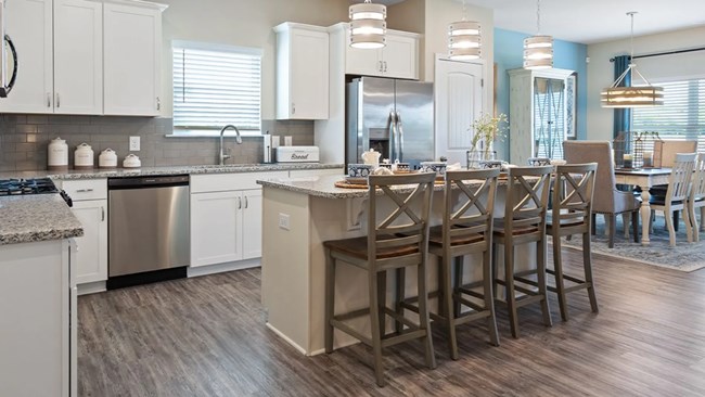 New Homes in Maddox Station by Smith Douglas Homes