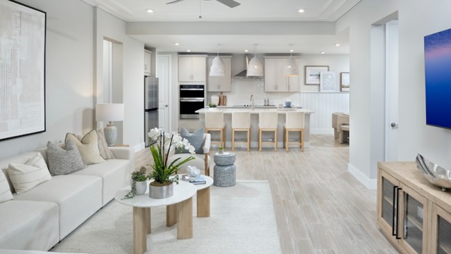 New Homes in Lakespur at Wellen Park by Mattamy Homes
