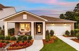 New Homes in Arcadia
