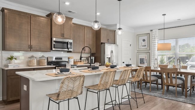 New Homes in Wind Haven by Smith Douglas Homes