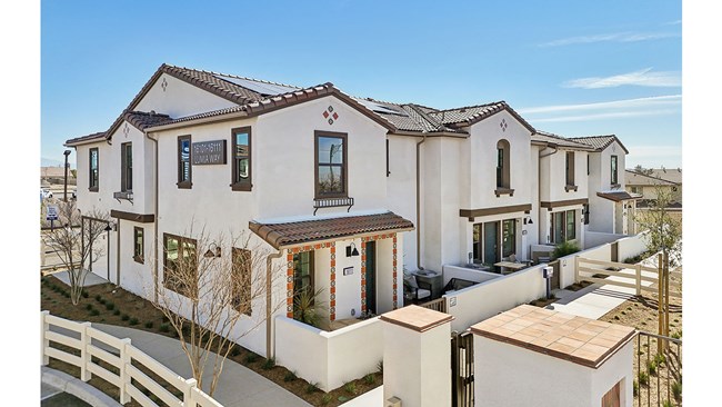 New Homes in Citrus Lane by D.R. Horton