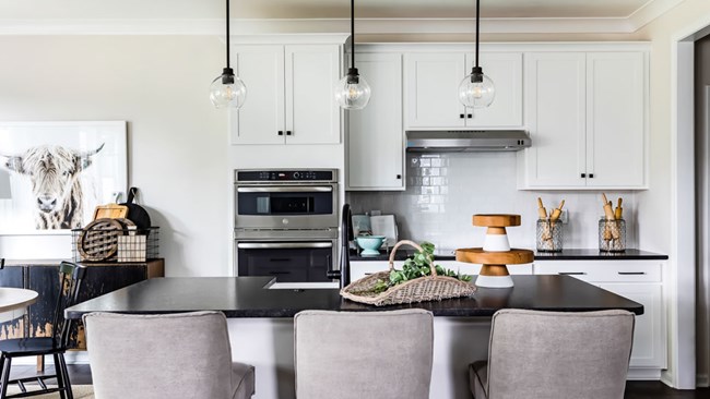 New Homes in Camryn at Southbridge by Tri Pointe Homes